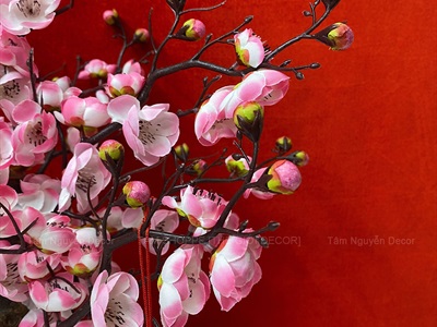 Cây Mai Đào thân gỗ để bàn [Tỉ mỉ - Nhẹ] C50cm CAYCANH-TET-01